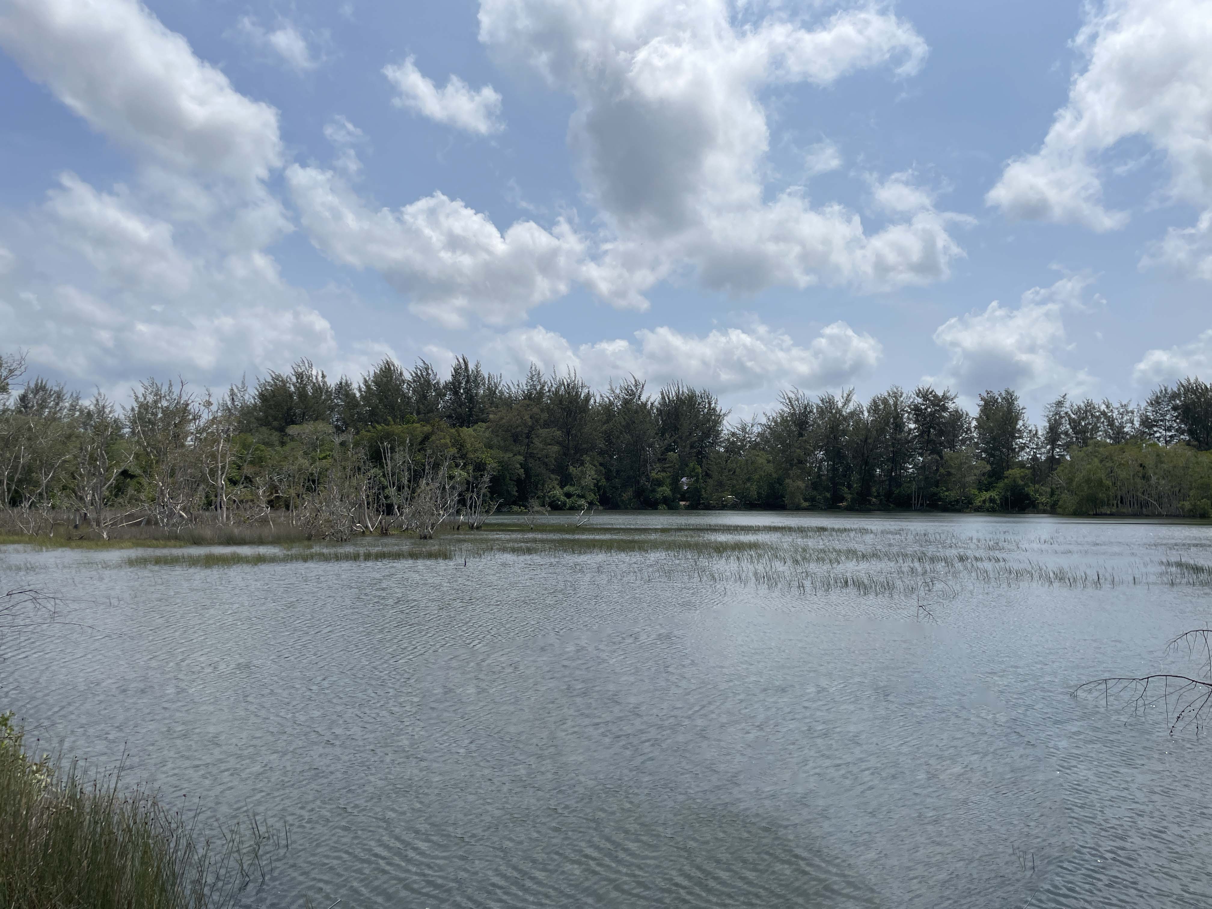 Ancient Cenozoic Valley. Traces of an 800,000 year old meteor that created satam & black diamond.